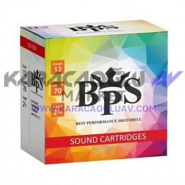 BPS SES FİŞEĞİ