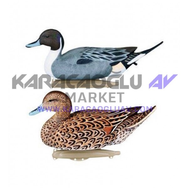 FLAMBEAU KILKUYRUK DİŞİ- ERKEK MÜHRESİ
