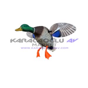 MOTORLU YEŞİL BAŞ MÜHRE ERKEK 