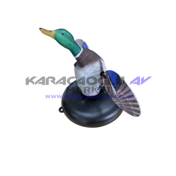 DUBALI MOTORLU YEŞİLBAŞ ÖRDEK MÜHRESİ ERKEK