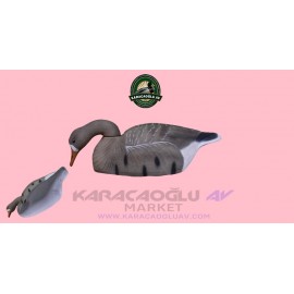 YEMLENEN KABUK KAZ MÜHRESİ
