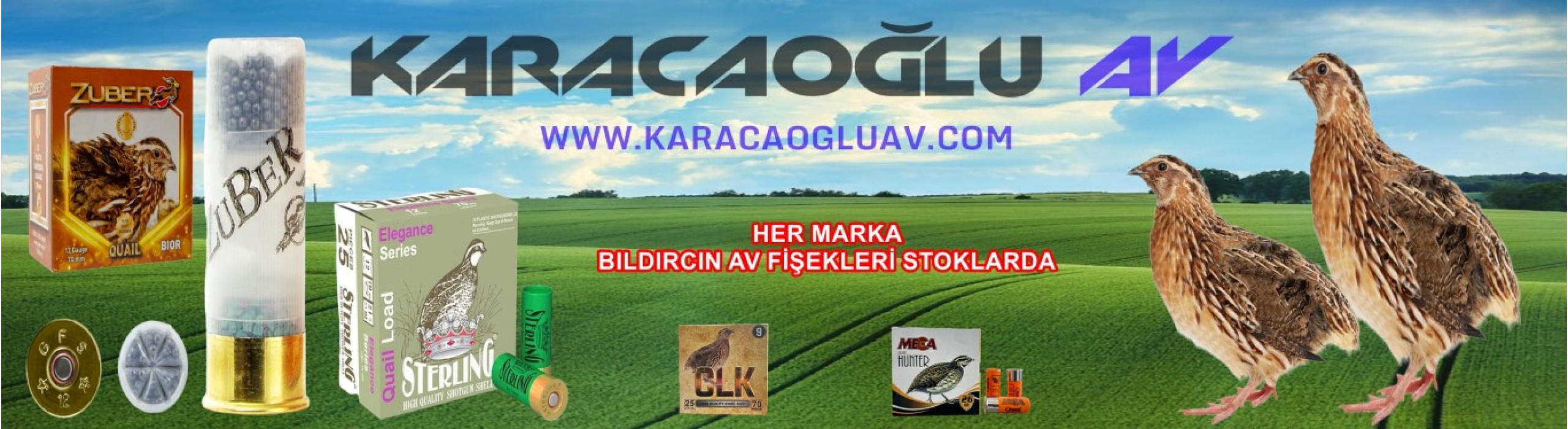 bıldırcın