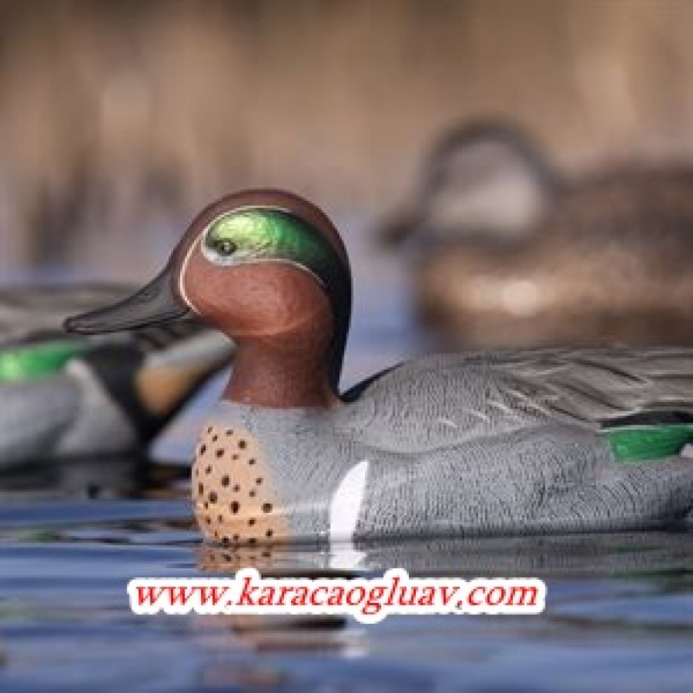 GREEN HEAD GEAR CAMURCUN ÖRDEK MÜHRESİ