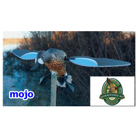 MOJO DİŞİ ÇAMURCUN MOTORLU ÖRDEK MÜHRESİ MOJO DİŞİ ÇAMURCUN MOTORLU ÖRDEK MÜHRESİ
